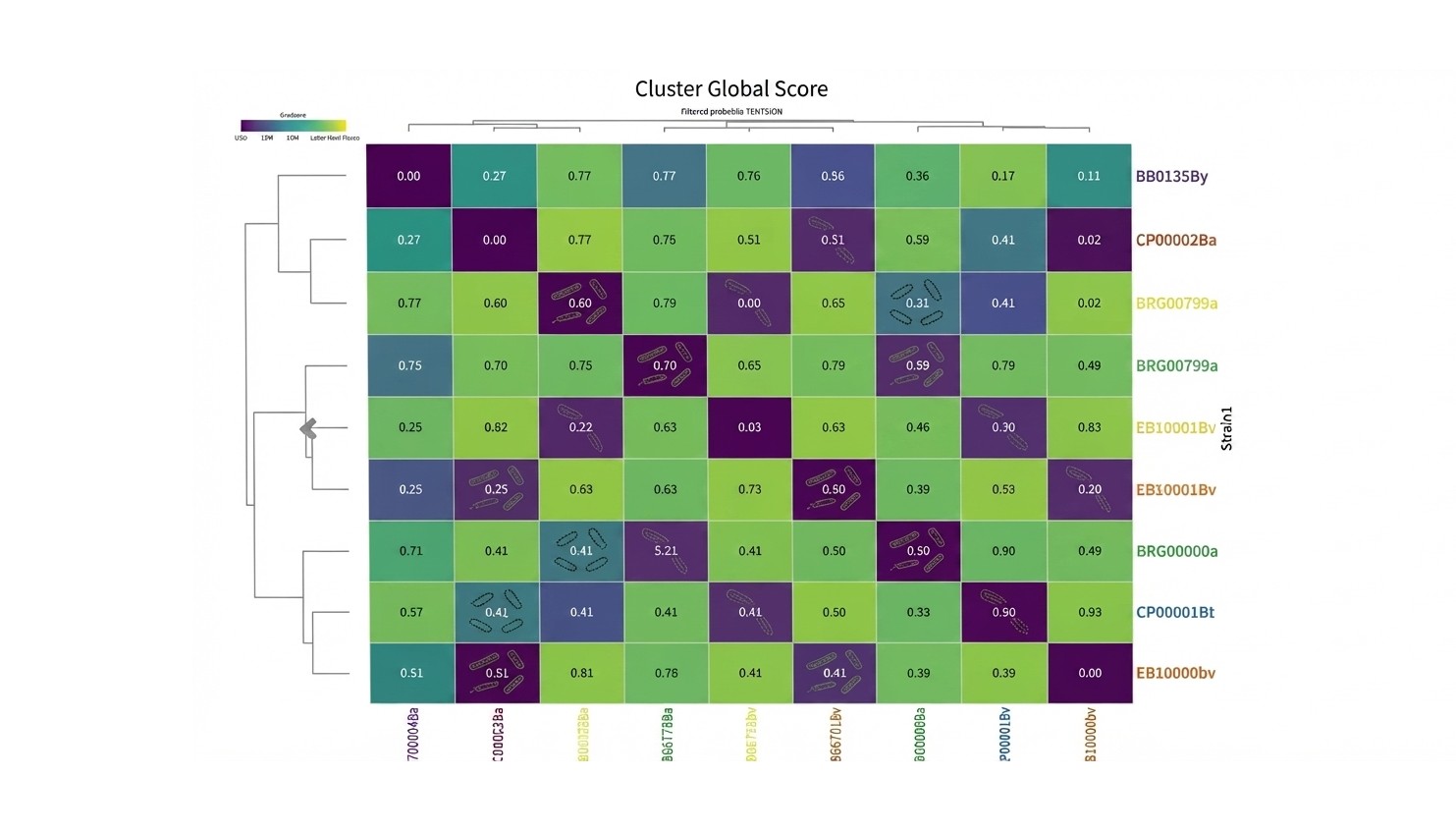 Heatmap de score de similitud genómica entre cepas microbianas de Elytron