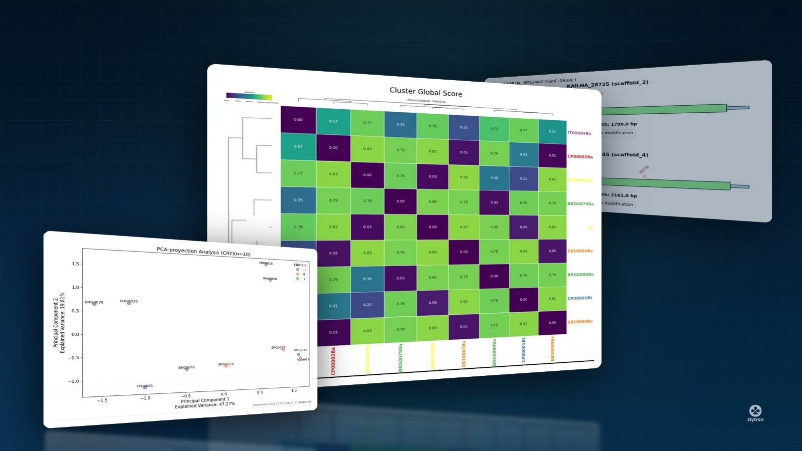 Resultados de clustering PCA validando la agrupación de cepas microbianas de Elytron